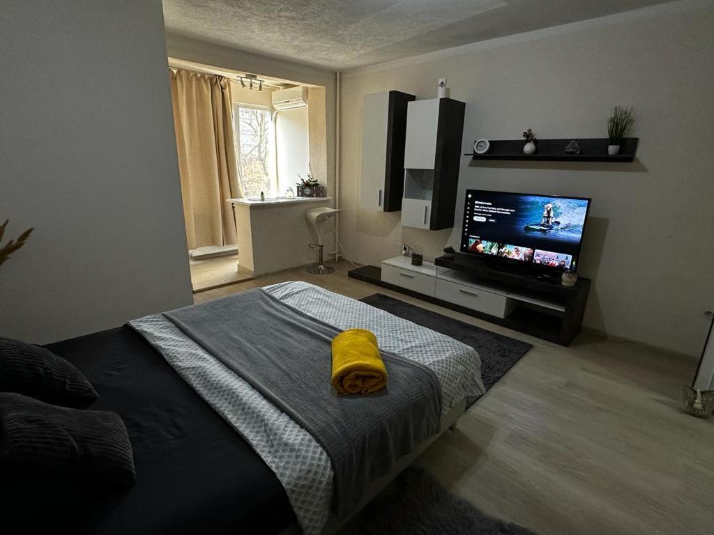 Reeas Apartament Timişoara Buitenkant foto