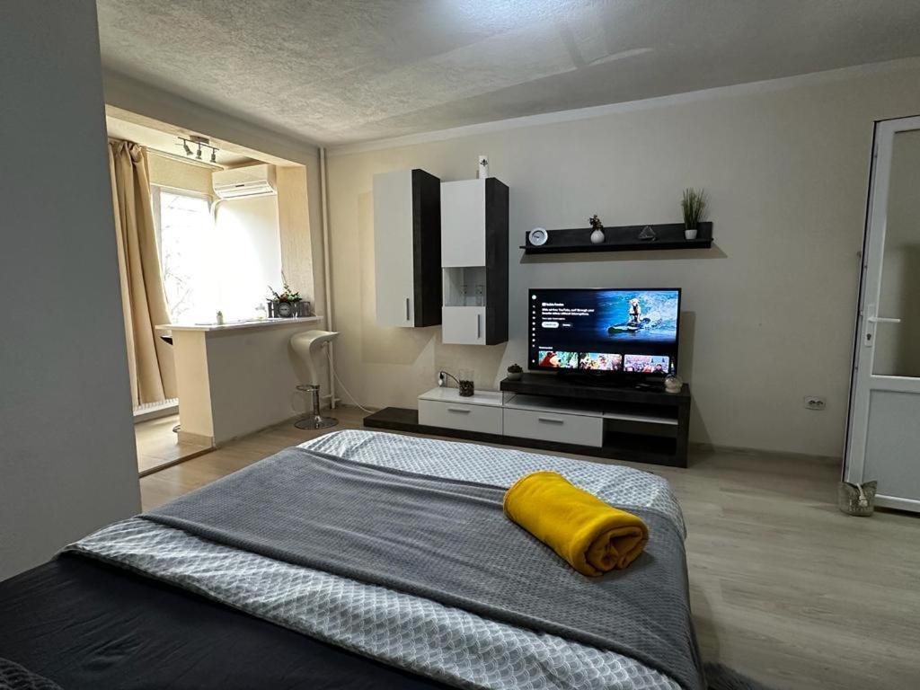 Reeas Apartament Timişoara Buitenkant foto