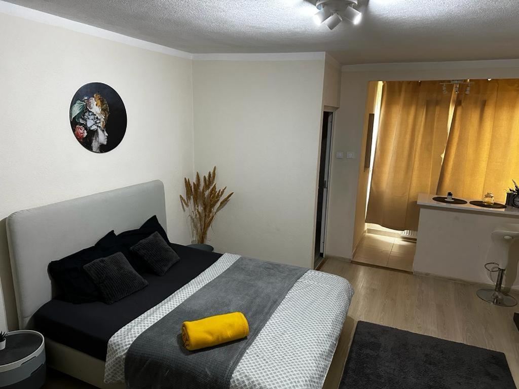 Reeas Apartament Timişoara Buitenkant foto