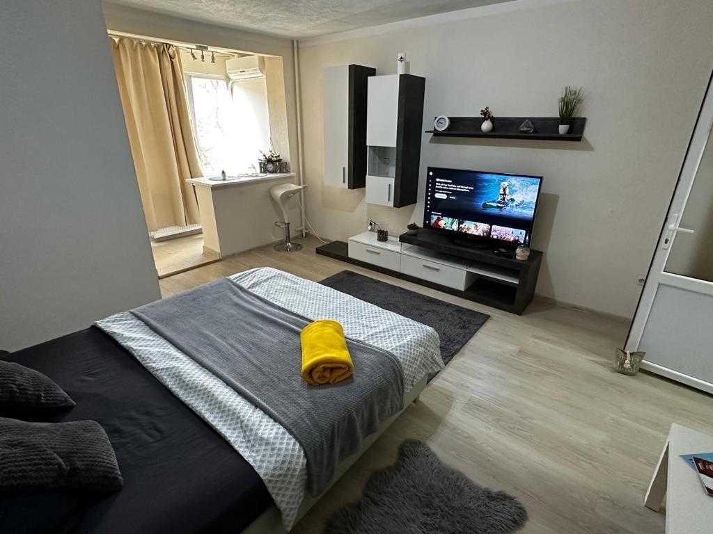 Reeas Apartament Timişoara Buitenkant foto