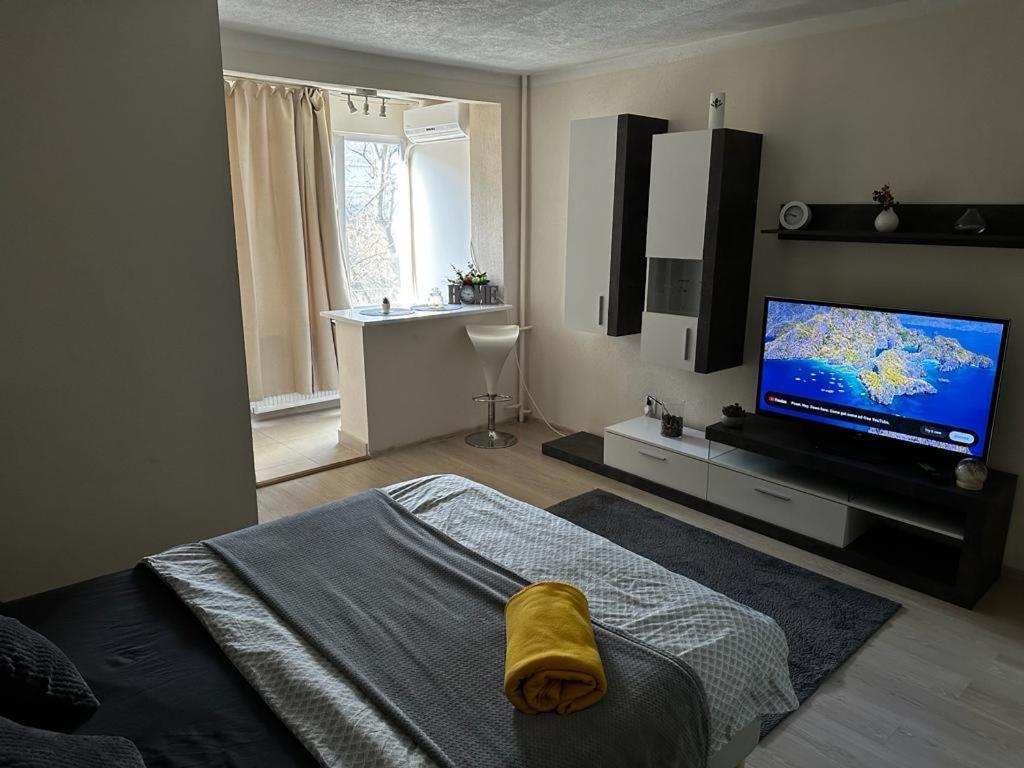 Reeas Apartament Timişoara Buitenkant foto