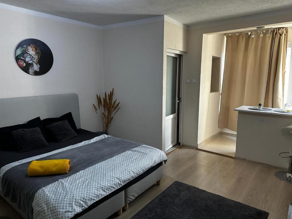 Reeas Apartament Timişoara Buitenkant foto