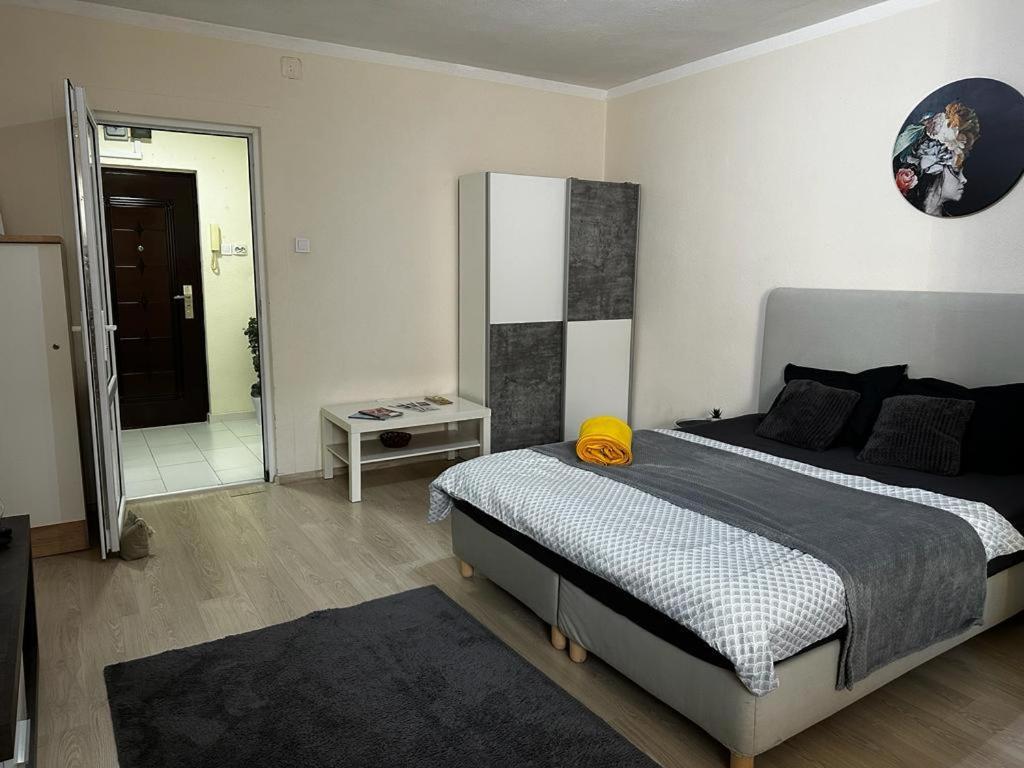 Reeas Apartament Timişoara Buitenkant foto