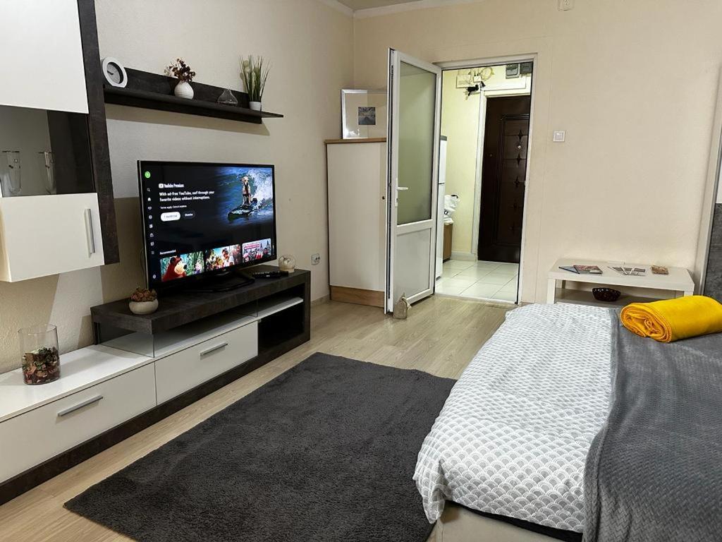 Reeas Apartament Timişoara Buitenkant foto